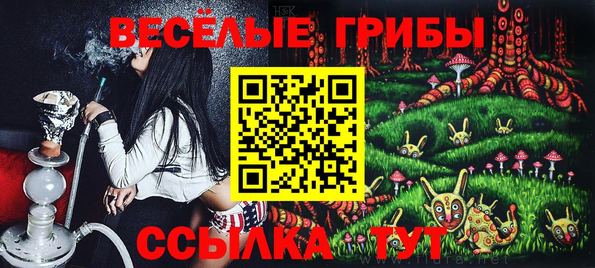 Оренбург  Галлюциногенные грибы Psilocybine cubensis  хочу   Вход с VPN 
